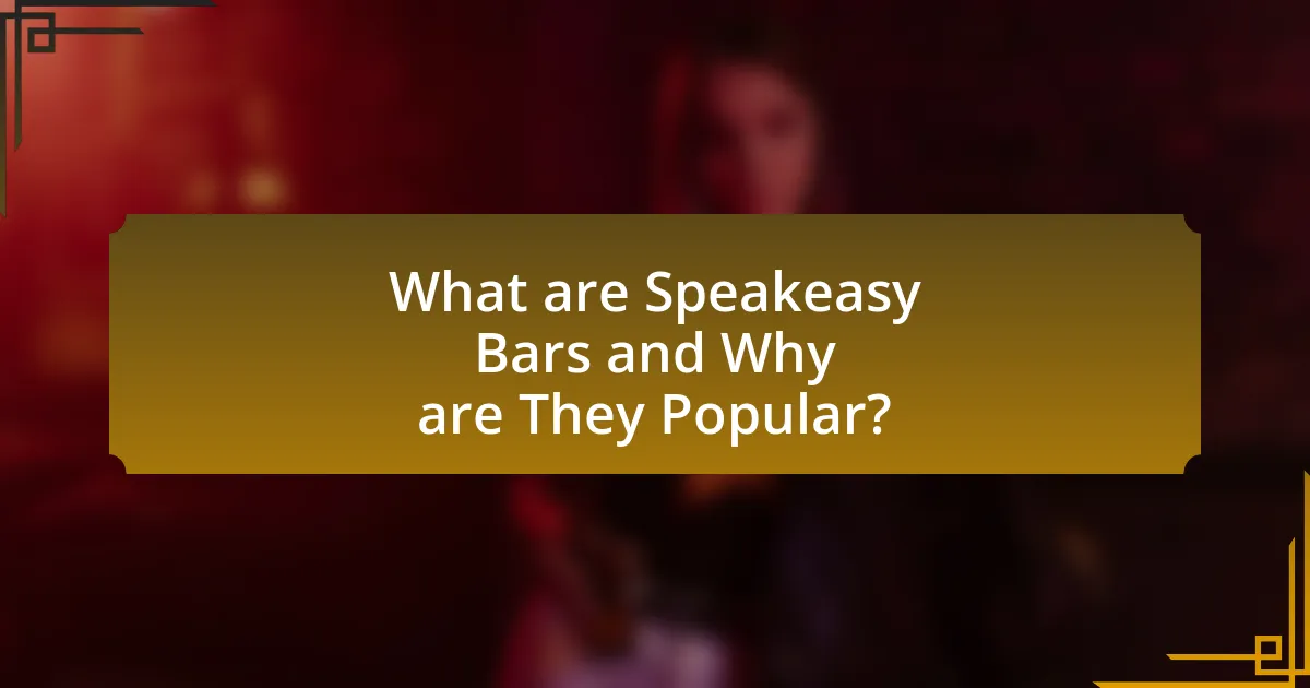 What are Speakeasy Bars and Why are They Popular?