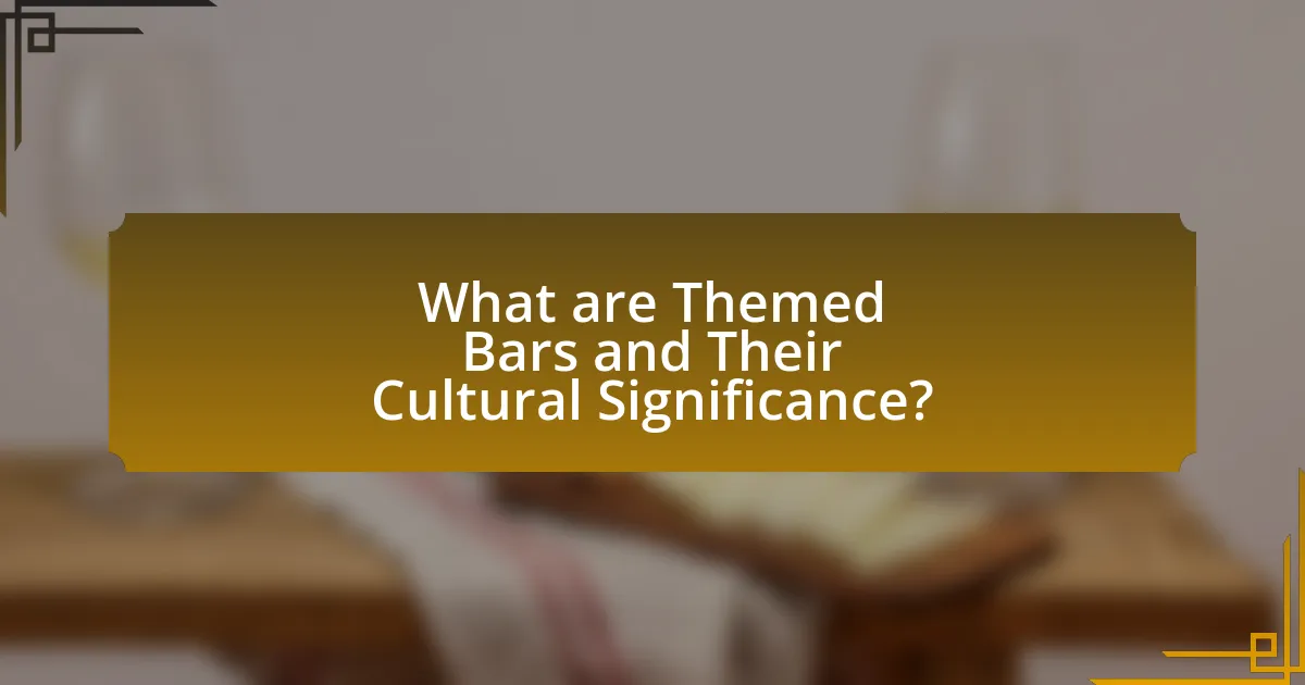 What are Themed Bars and Their Cultural Significance?